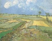 Vincent Van Gogh Wheat Fields at Auvers under Clouded Sky (nn04) USA oil painting artist